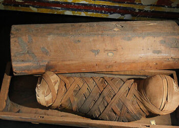 صورة تعبيرية