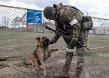دعوة إلى إلغاء الحدود بين مقاطعة زابوروجيه وروسيا