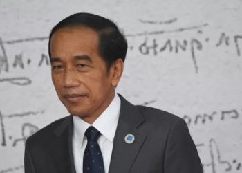 الرئيس الإندونيسي يعتزم دعوة بوتين وزيلينسكي لحوار سلام