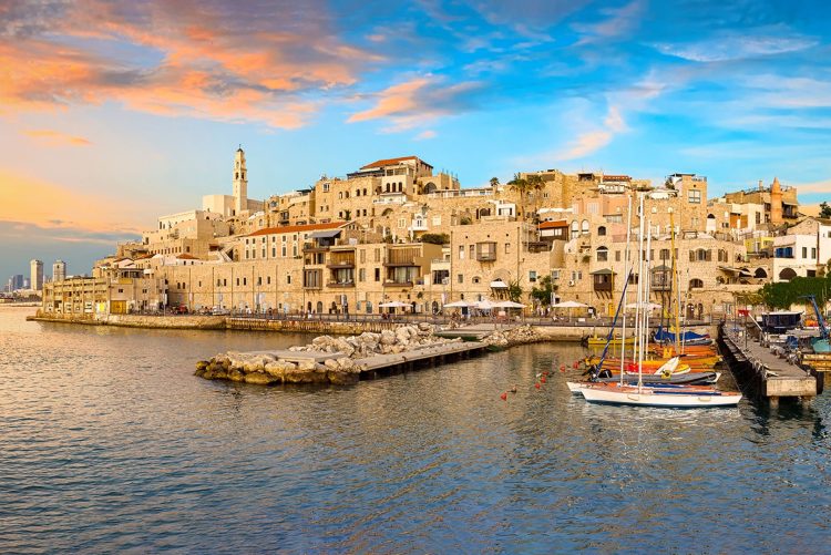 يافا والشعر والجواهري