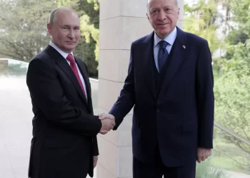 السفير الروسي لدى أنقرة: يمكن أن يناقش بوتين وأردوغان الوضع في أوكرانيا وسوريا خلال اجتماع سوتشي