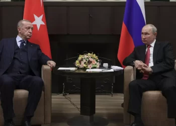 الكرملين: التعاون العسكري وتنفيذ صفقة الغذاء على جدول أعمال قمة سوتشي بين بوتين وأردوغان