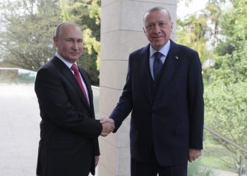 بوتين وإردوغان يبحثان هاتفياً في أمن الملاحة في البحر الأسود وصادرات الحبوب