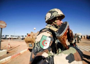 الجزائر تستعد لاستضافة تدريبات مع قوات روسية