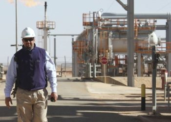 الجزائر… تخصيص 11 مليار دولار لتطوير الصناعات البتروكيميائية