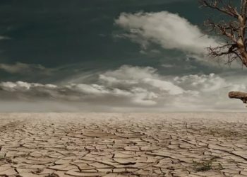 فرض قيود صارمة على استخدام المياه في لندن بسبب أشد موجة جفاف منذ 1885