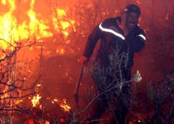 الجزائر تعلن السيطرة على سلسلة حرائق أودت بحياة 37 شخصا