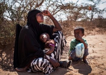 الصليب الأحمر: الحرب في أوكرانيا ليست سبب أزمة الغذاء في أفريقيا