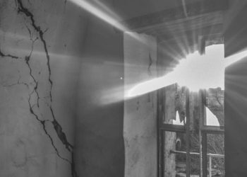 النوافذ تفتح من جديد بقلم عامر التل