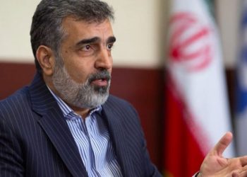 إيران: زعم الوكالة الذرية وجود فجوة في مراقبة البرنامج النووي تفتقر إلى الشرعية