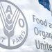الفاو: تراجع مؤشر أسعار الغذاء للشهر السادس في أيلول