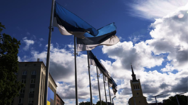 Bloomberg: إستونيا تعتزم مصادرة الأصول الروسية في بنوكها بحلول نهاية يناير