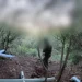 إعلام إسرائيلي يكشف: حزب الله حاول اغتيال قائد المنطقة الشمالية قبل شهر.. ماذا في التفاصيل؟